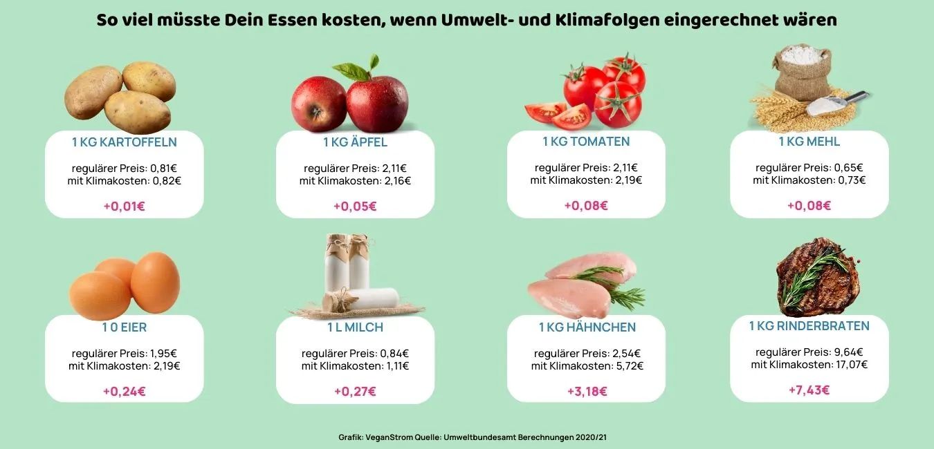 Hier siehst Du eine Übersicht über die Lebensmittel