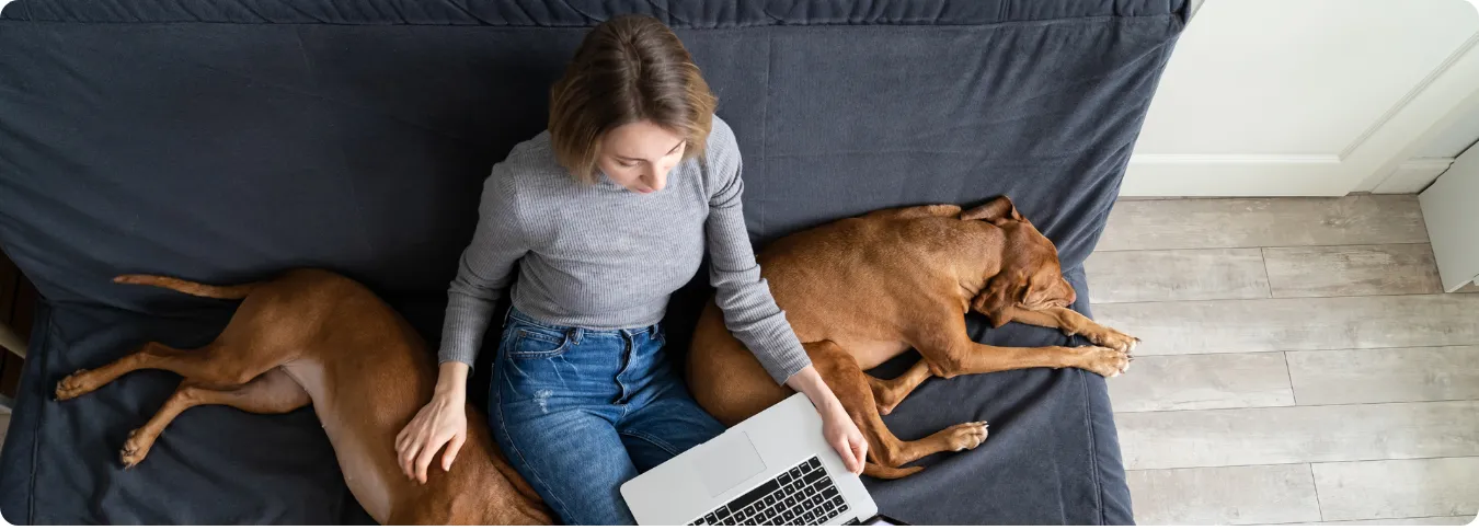 Frau die am Laptop einen Stromanbieter sucht.