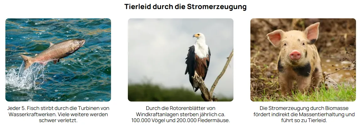 Auch Ökostromquellen können Tierleid verursachen.