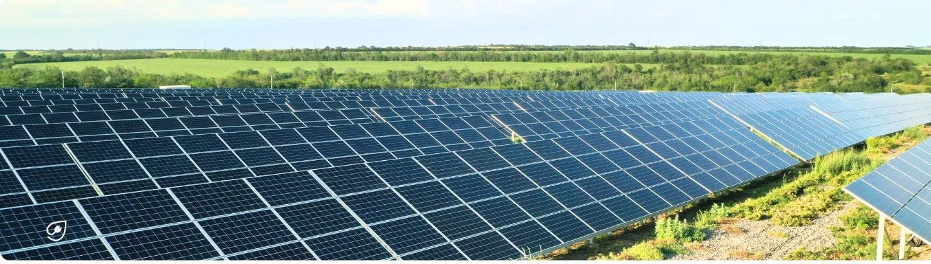 PV Anlagen erzeugen tierfreundlichen Ökostrom.