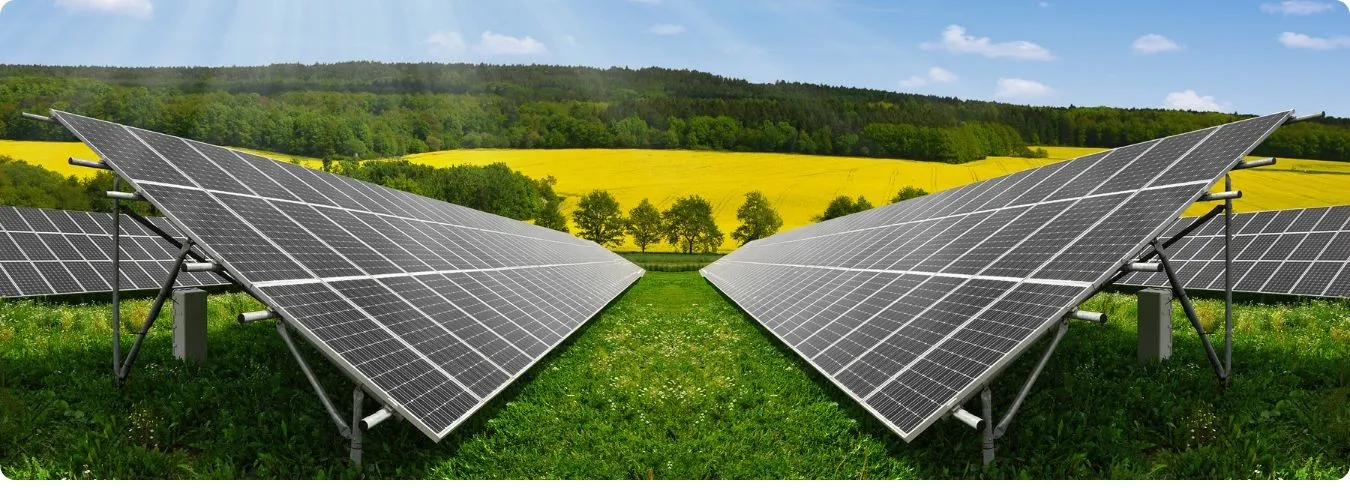 Solaranlagen auf einer grünen Wiese