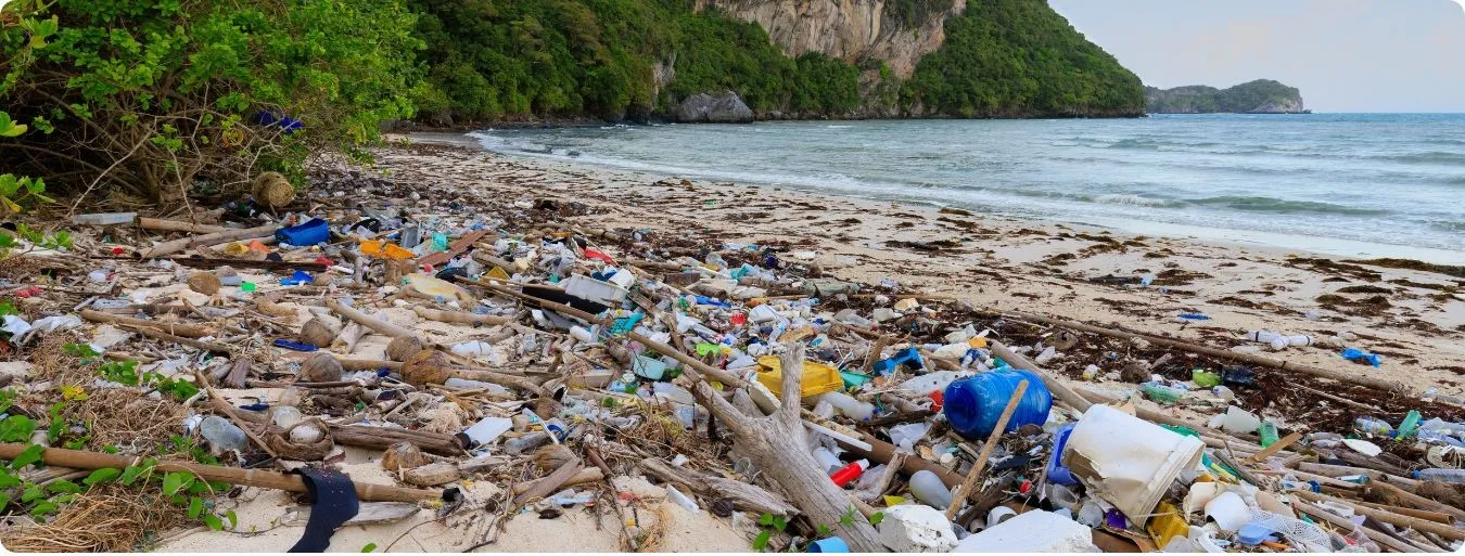 Plastikmüll verschmutzt unsere Umwelt. Mit dem diesjährigen Motto weist der Weltumwelttag darauf hin.