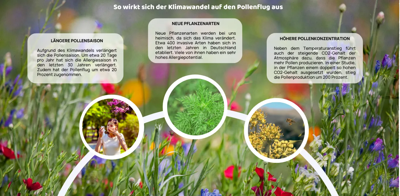 Der Zusammenhang von Klimawandel und Heuschnupfen.