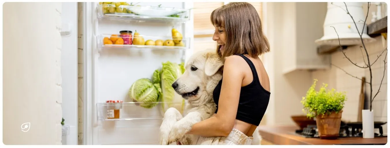 Tiere schützen durch eine vegane Ernährung.