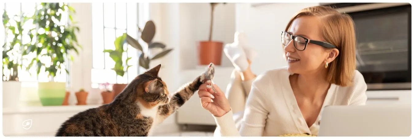 Tipps für mehr Tierschutz im Alltag.