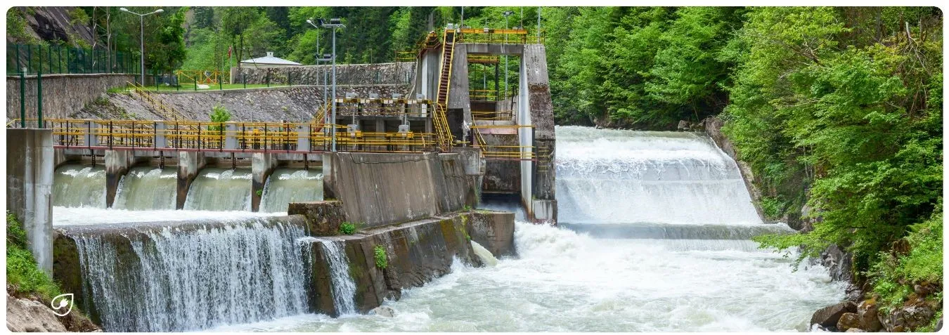 Wasserkraftwerke werden zur Gefahr für Fische