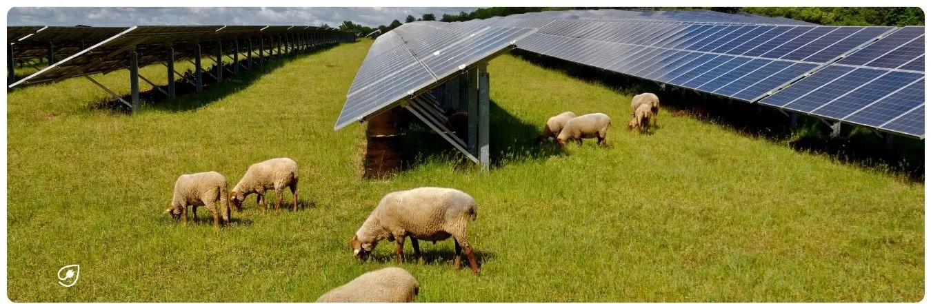 So effizient sind Solaranlagen.