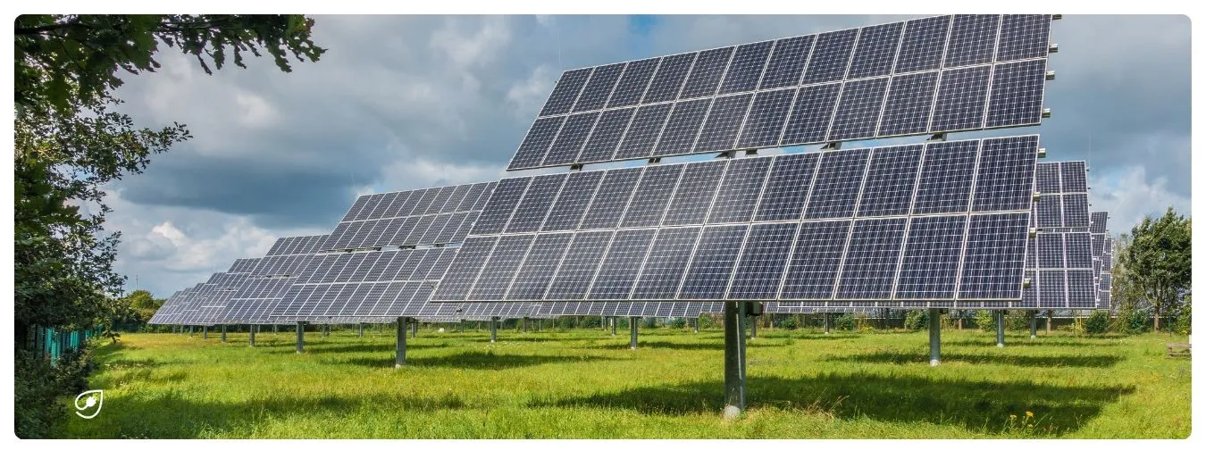 Solaranlagen bieten Lebensräume und produzieren veganen Strom.