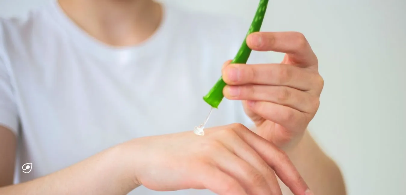 Die Aloe Vera kann zudem beim Entgiften, Entschlacken und Entsäuern helfen, da sie Schadstoffe im Körper bindet.
