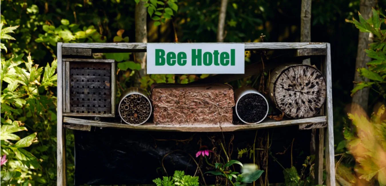 Baue ein Bienenhotel.