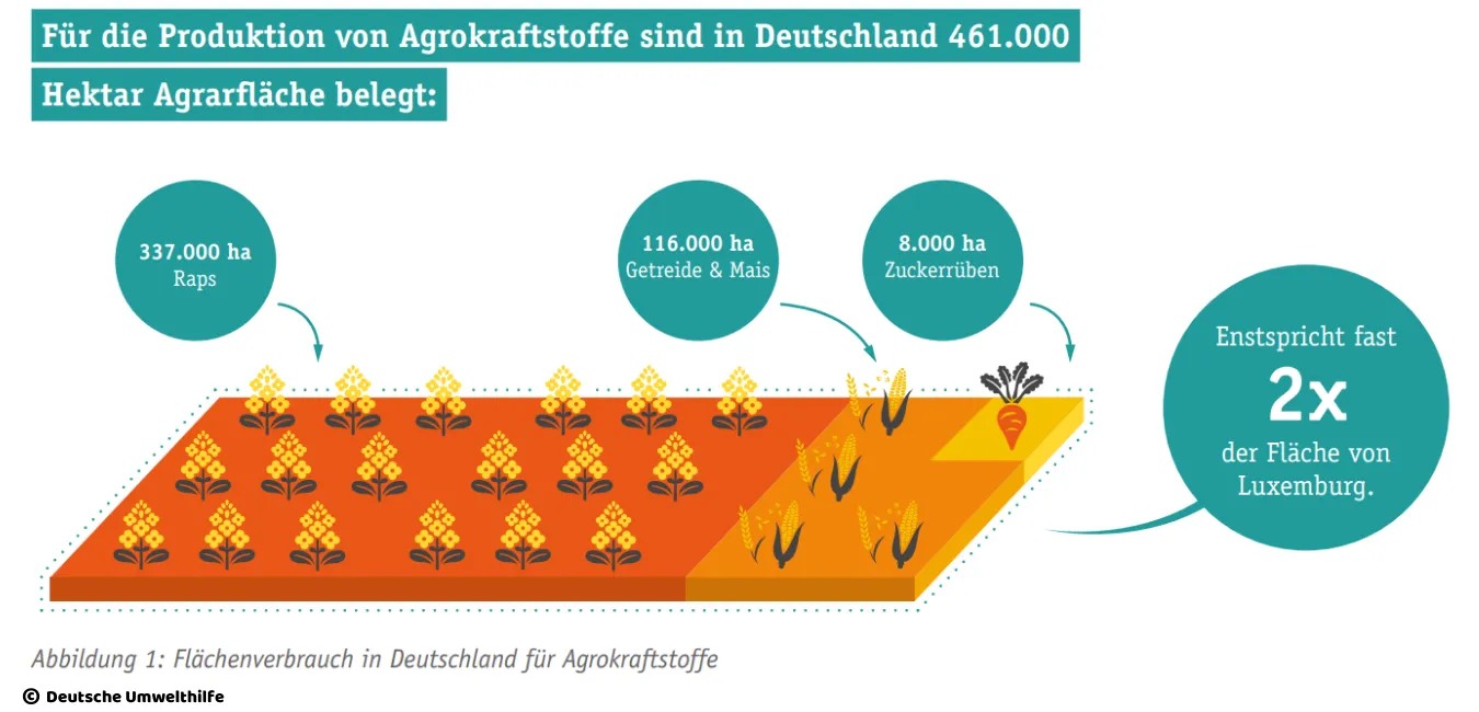 Die Deutsche Umwelthilfe berechnet in einer aktuellen Studie die sogenannten „CO2-Opportunitätskosten“, die durch Agrokraftstoffe entstehen