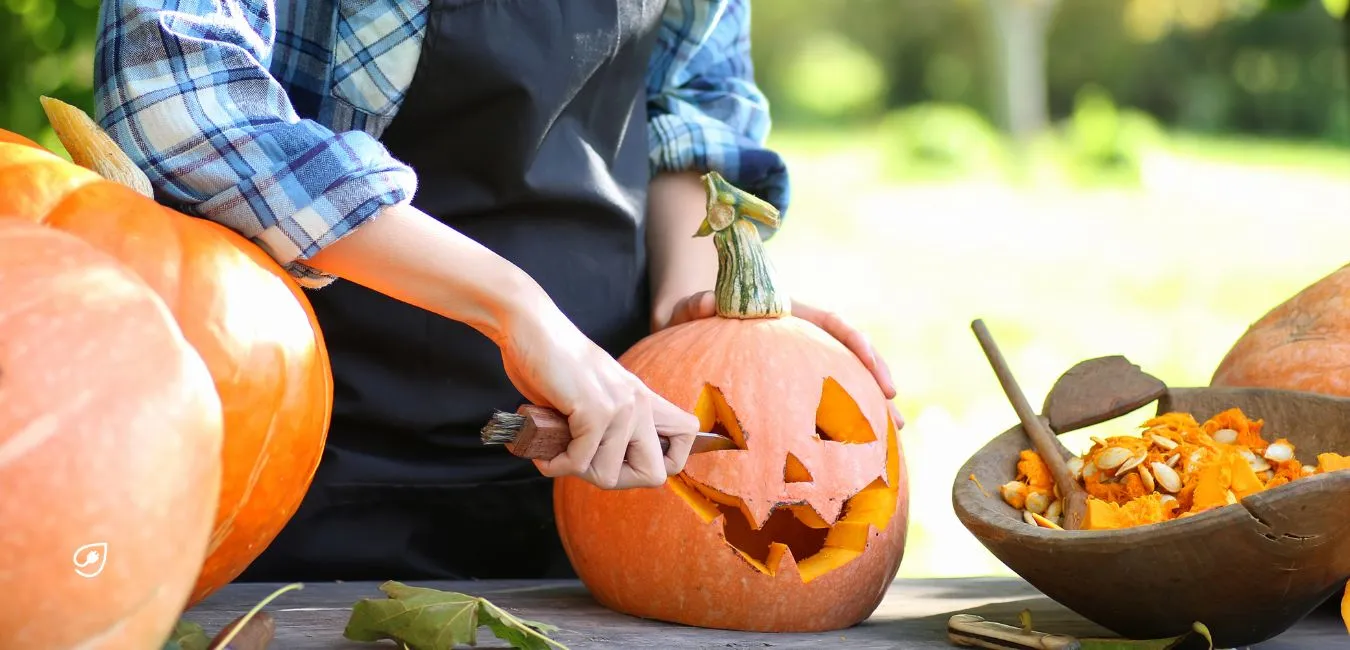 Tipps zu Halloween.