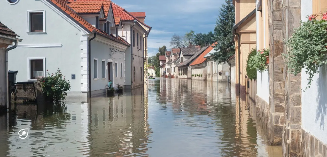 Obgleich Deutschland im globalen Kontext ein vergleichsweise kleines Land ist, kann das Klima von Region zu Region erheblich variieren. 