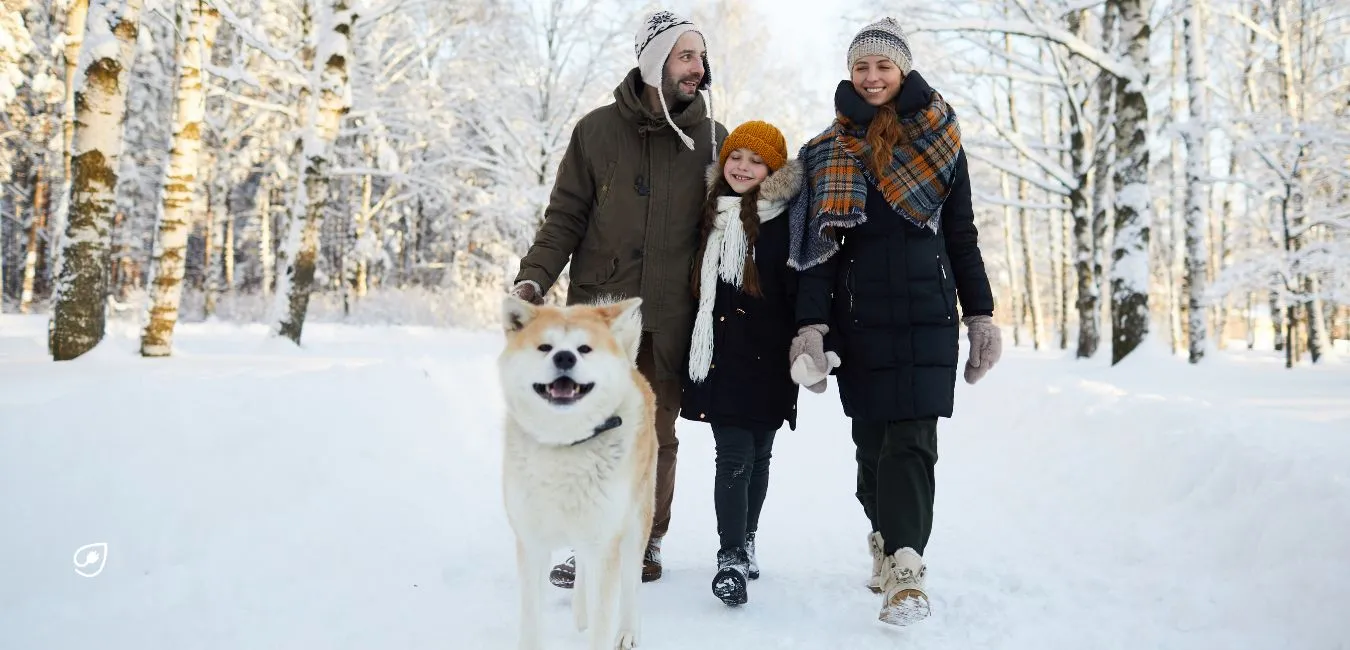 Ein Spaziergang inmitten der Winterlandschaft ist nicht nur eine Flucht aus den trüben Gedanken, sondern auch eine Einladung an die winterliche Stimmung, in unser Herz einzuziehen. 