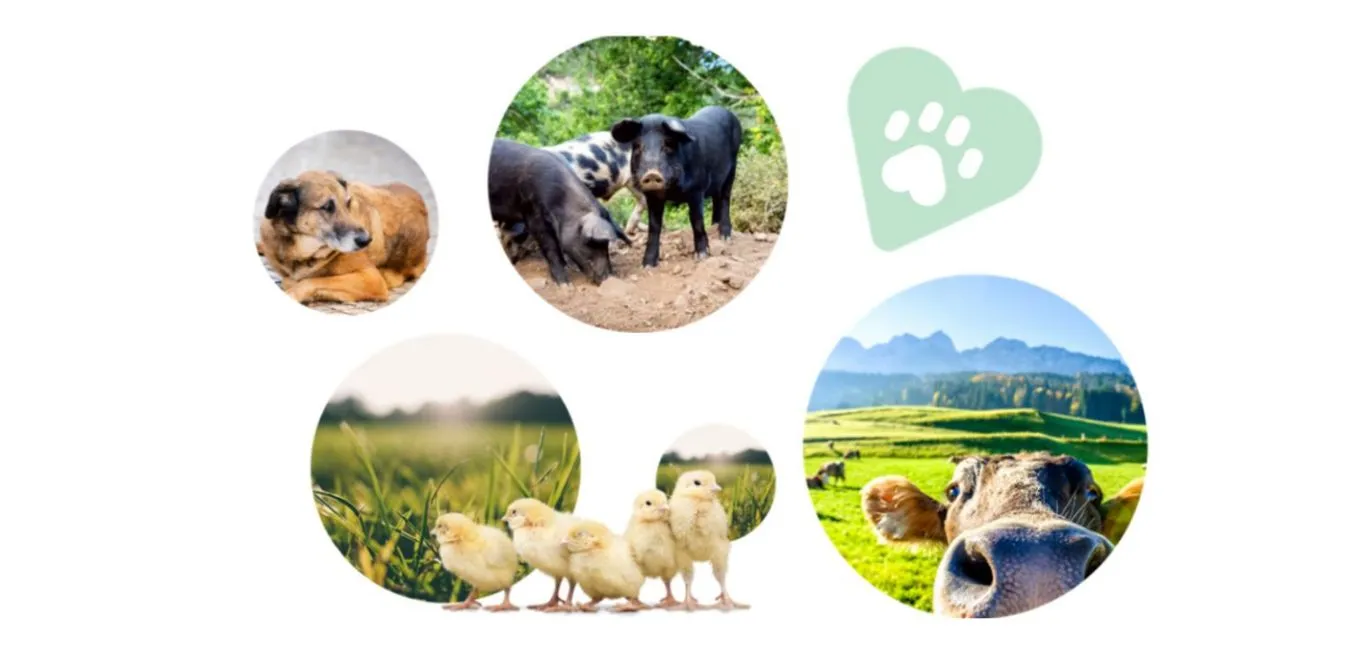 Ein Altersheim für Tiere.