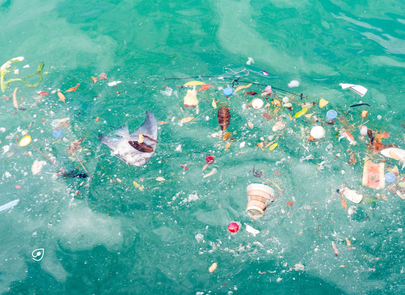Wir von VeganStrom geben praktische Tipps, wie du im Alltag Plastikmüll vermeiden kannst