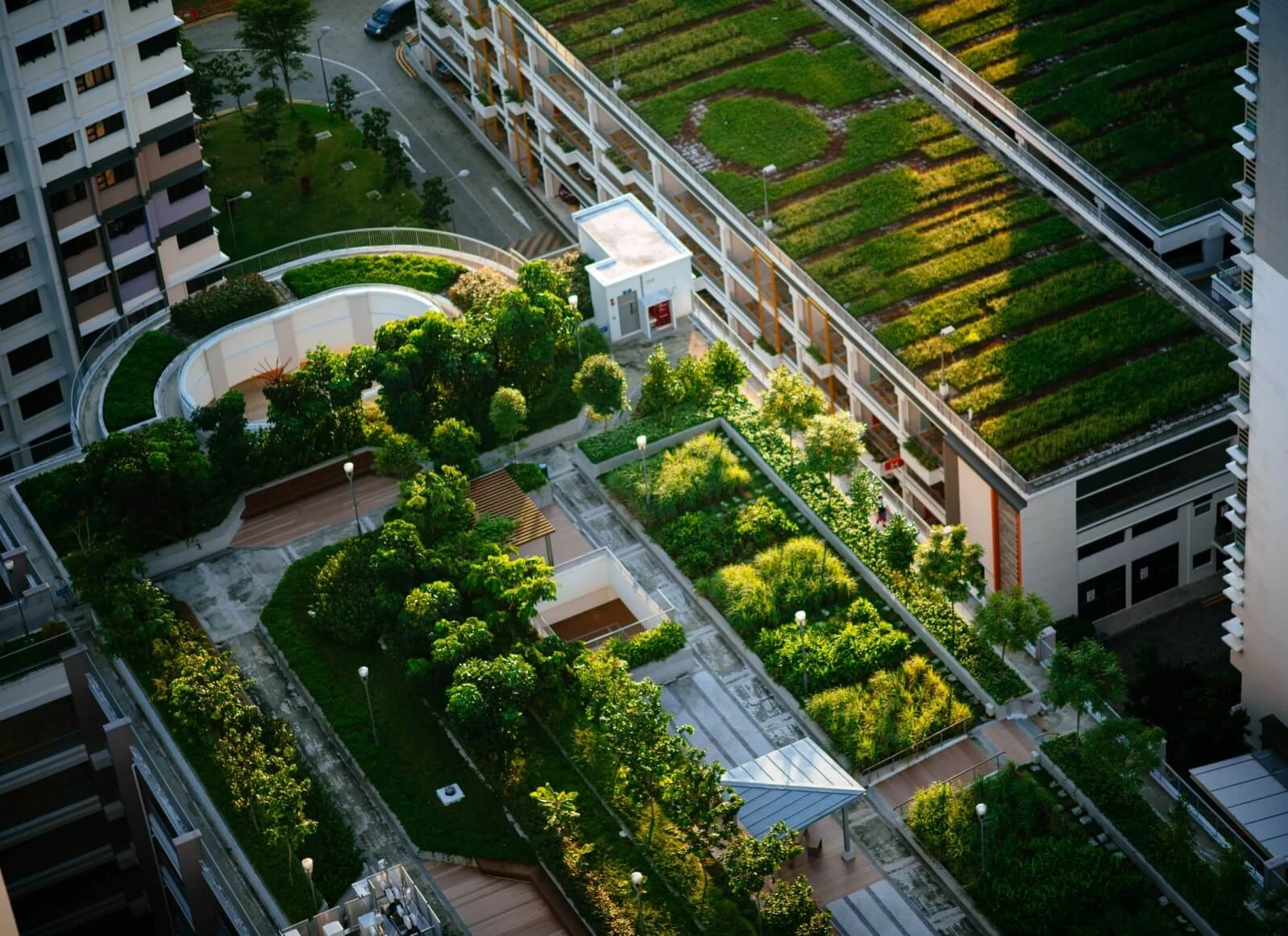Was ist eine Rooftop Farm?