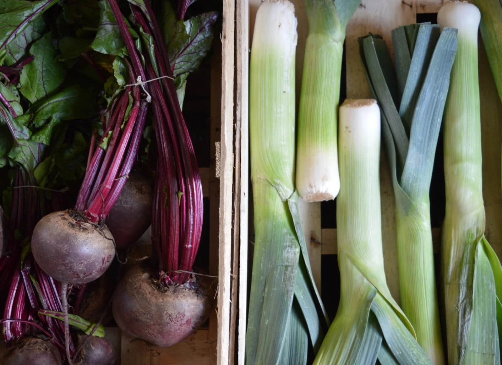 Jeden Monat zeigt Dir Vegan Strom, welche Obst- und Gemüsesorten frisch und aus den heimischen Lagern verfügbar sind. Lass Dich von unserem Saisonkalender für November inspirieren!