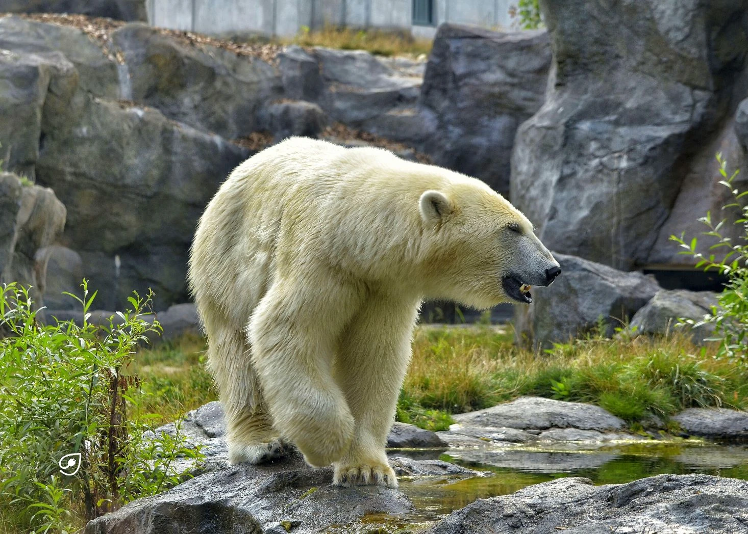 Entdecke fünf Aktivitäten, die das Tierwohl respektieren und ein bewusstes Erleben von Tieren ermöglichen.