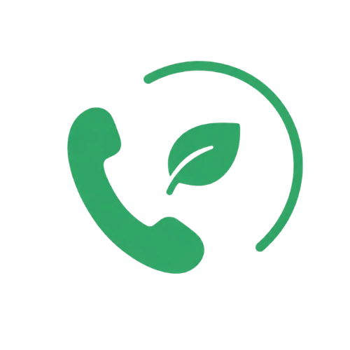 phone