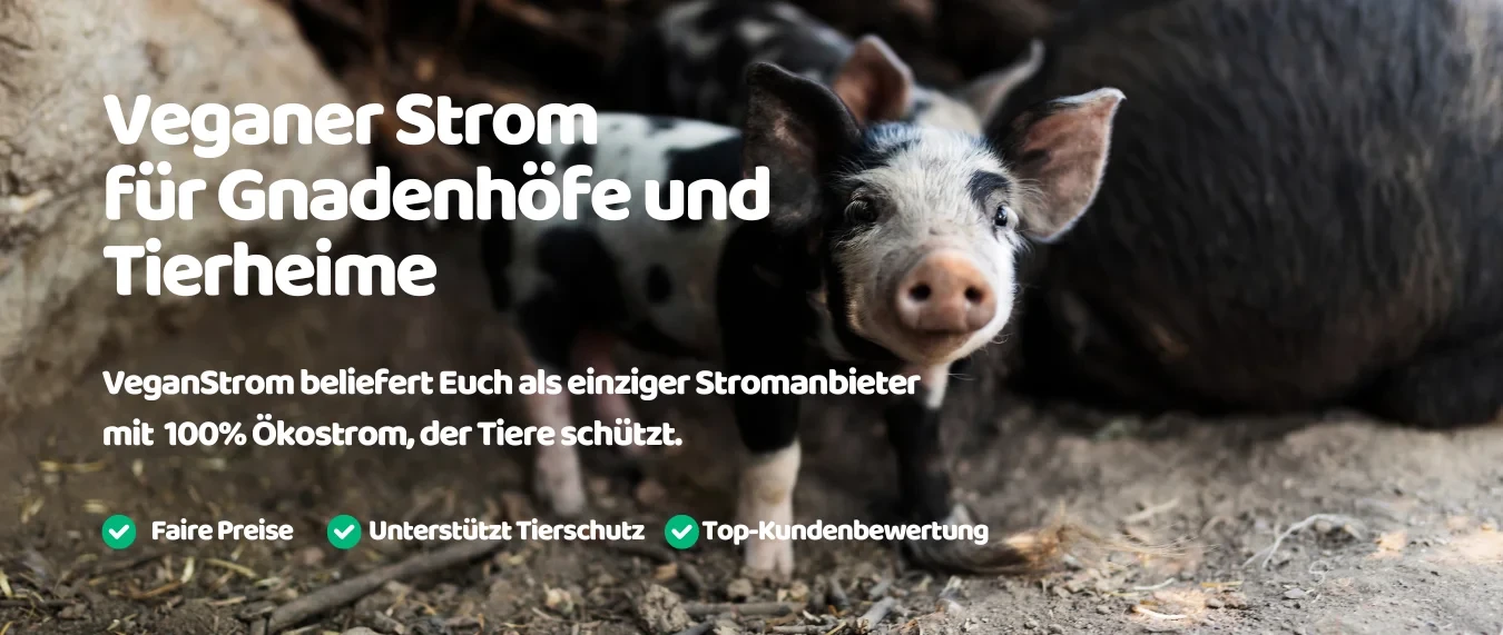 Hier findest Du Tarife für Deinen Tierschutzverein.